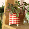 Petit pot de fleurs damier