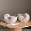 Bougie coquillage noix de coco et lime