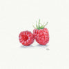 Affichette aquarelle 'Miniature Framboises'