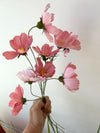 Fleur de papier Cosmos [couleurs variées]