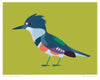 Poster 'American Kingfisher'