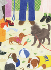 Puzzle Sortir le chien - 1000 morceaux