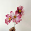 Fleur de papier Cosmos [couleurs variées]