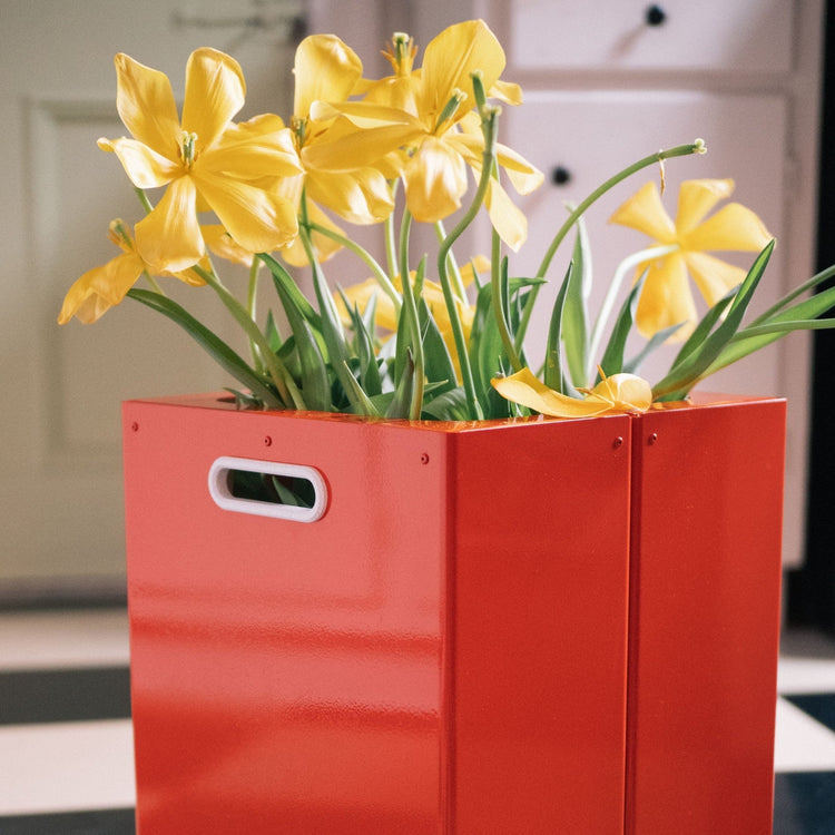 Jardinière Le Baquet tomate