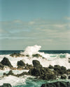 Photograph 'Agitation'