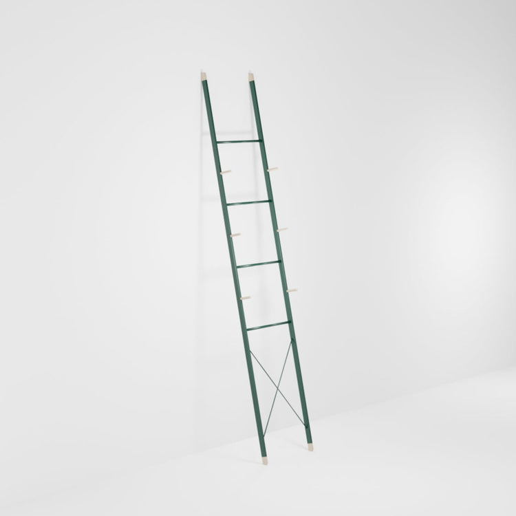 Green storage ladder [on order] 