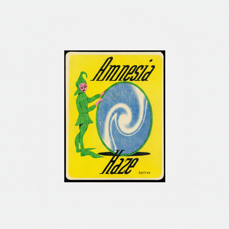 Affiche risographie 'Amnesia Haze'