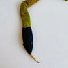 Snake soft toy 'Black Mambas flower' 