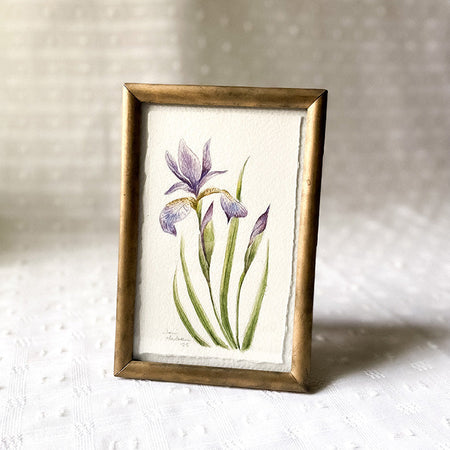 Aquarelle originale 'Iris versicolore'