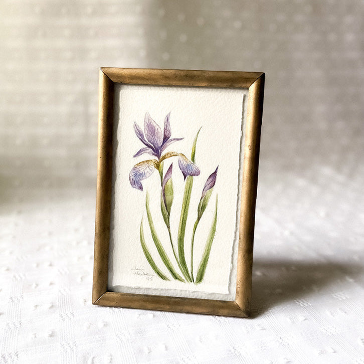 Original watercolor 'Iris versicolor'