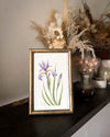 Original watercolor 'Iris versicolor'