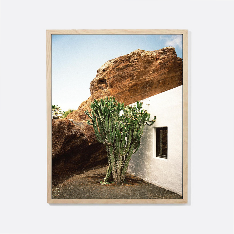 Photographie 'Cactus, Roche, Habitat - Lanzarotte' [formats variés]