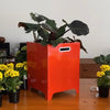 Jardinière Le Baquet tomate