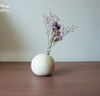 Vase Echo Dot [couleurs variées]