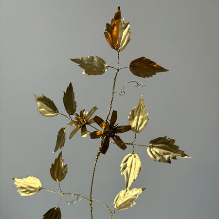 Clematis Virginiana flower in brass