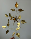 Clematis Virginiana flower in brass