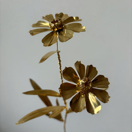 Coreopsis Grandiflora flower in brass