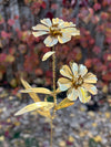 Coreopsis Grandiflora flower in brass