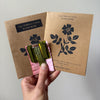 DIY Paper Flower Kit 'Wild Rose'