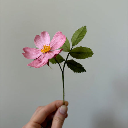 Ensemble DIY de fleurs en papier à assembler 'Rose sauvage'