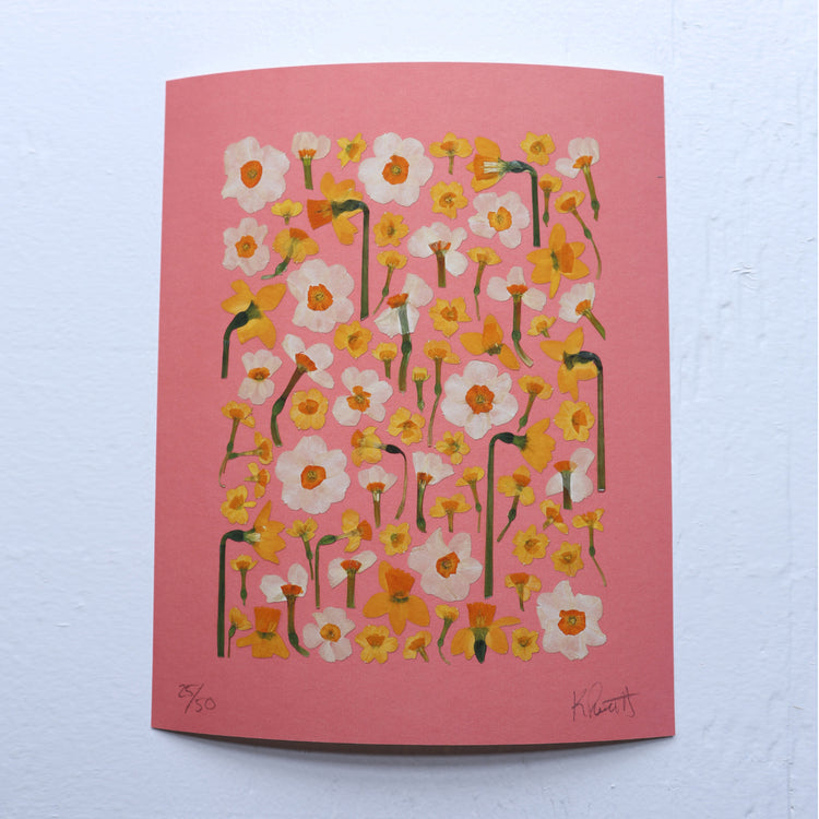 Daffodils Poster