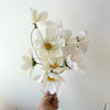 Fleur de papier Cosmos [couleurs variées]