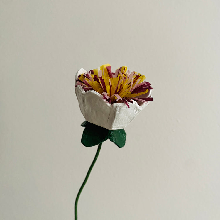 Cardboard flower [varied colors] 