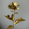 Brass Heliopsis Flower