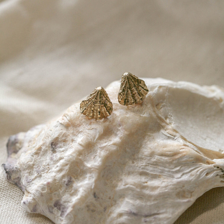 Under the Ocean Brass Stud Earrings