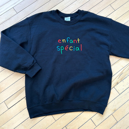 Pull 'Enfant spécial' taille L [tel quel]