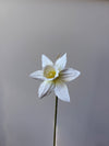 Fleur de papier Jonquille [modèles variés]