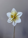 Fleur de papier Jonquille [modèles variés]