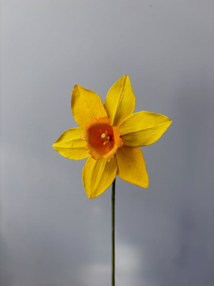 Fleur de papier Jonquille [modèles variés]