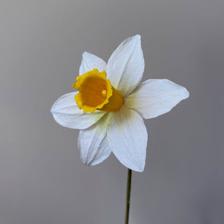 Fleur de papier Jonquille [modèles variés]