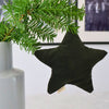 Star Ornament [various colors]