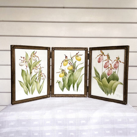 Original watercolor 'Triptych of the Virgin's Slipper'