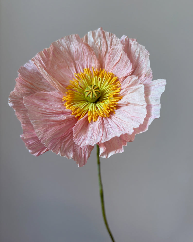 Fleur de papier Pavot grand