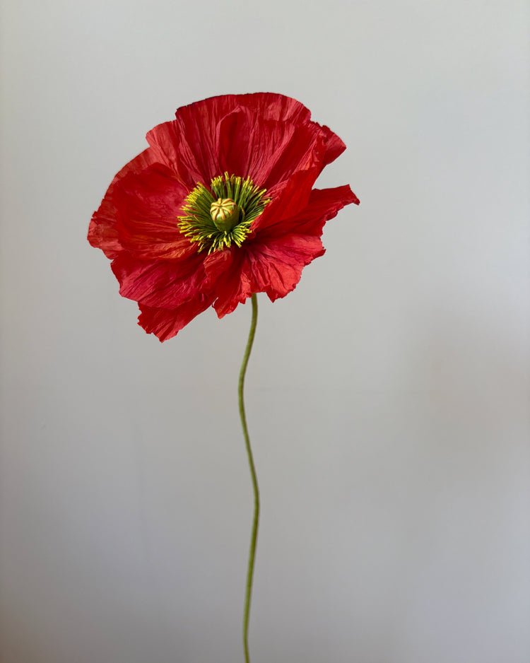 Paper Flower Large Poppy