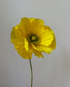 Paper Flower Large Poppy