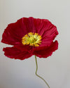 Paper Flower Large Poppy