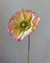 Paper Flower Large Poppy