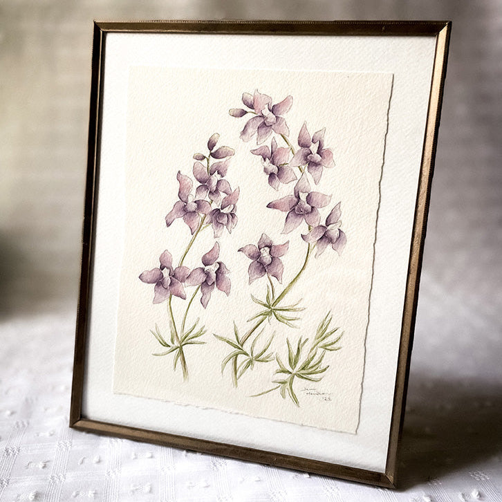 Aquarelle originale 'Larkspur'