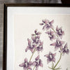 Aquarelle originale 'Larkspur'