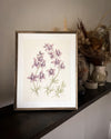 Aquarelle originale 'Larkspur'