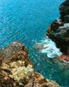 Photographie 'Le plongeon'