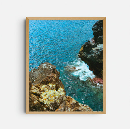 Photograph 'The Dive'