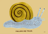 Affiche 'Follow my Trail'