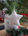 Star Ornament [various colors]
