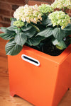 Jardinière Le Baquet tomate