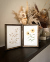 Aquarelle originale 'Avoine et Tournesol'